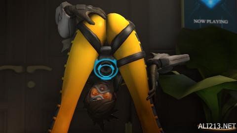 她的团队根 她的团队根